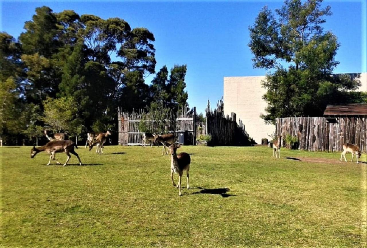 The Crags Green Hills Forest Lodge מראה חיצוני תמונה