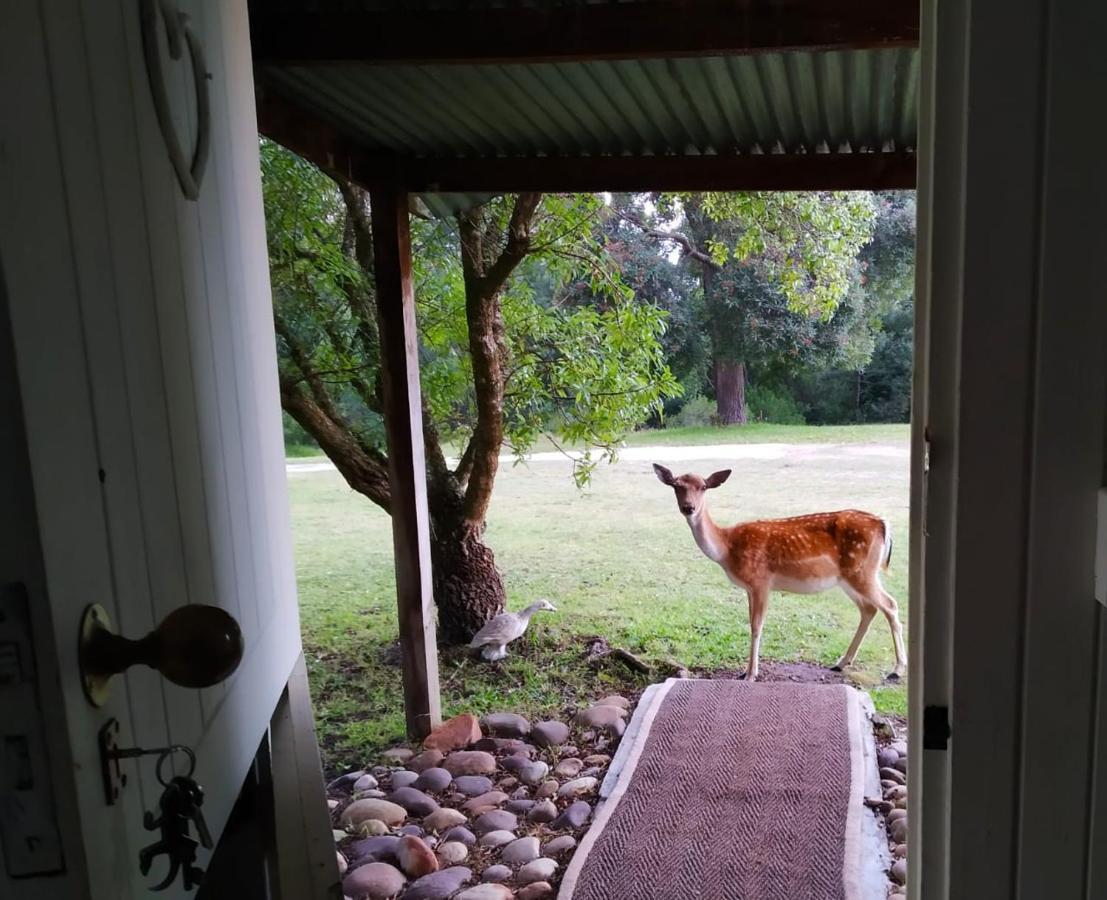 The Crags Green Hills Forest Lodge מראה חיצוני תמונה
