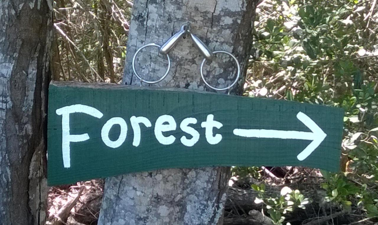 The Crags Green Hills Forest Lodge מראה חיצוני תמונה